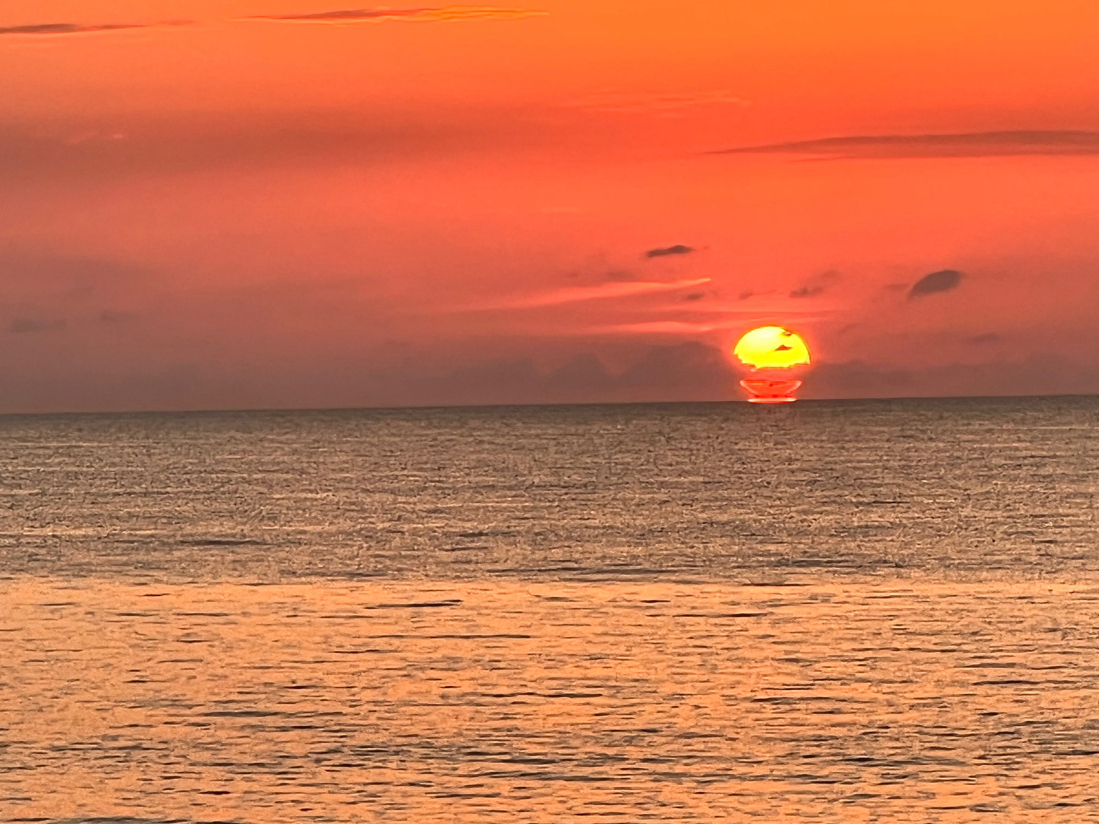 The Universal Language of Saltwater
