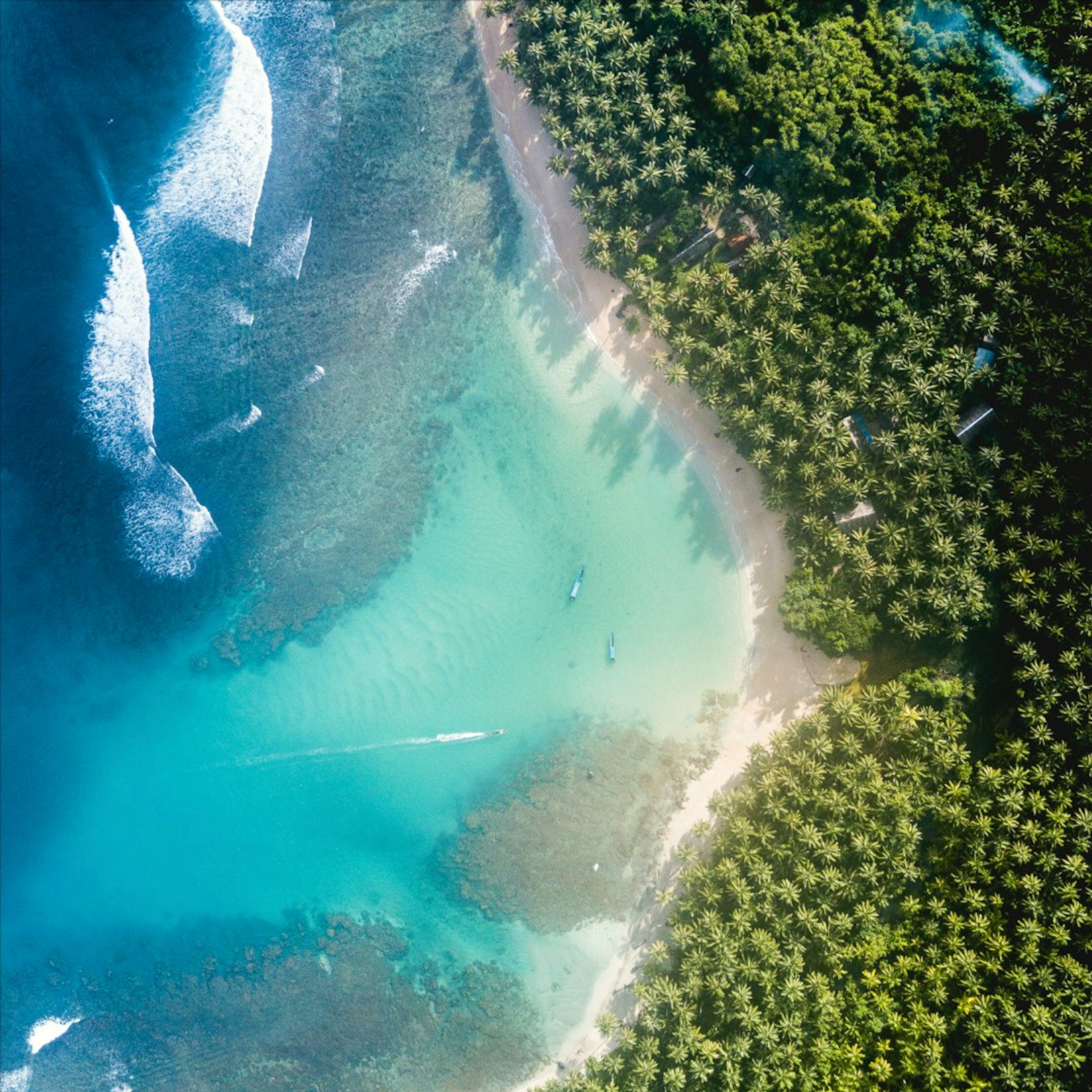 A Guest in the Lineup: Being an Ocean Local Anywhere