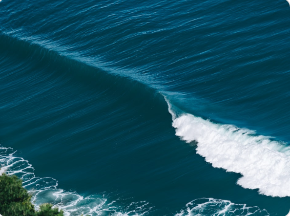 Go Deep: Finding Freedom and Perspective on the Water