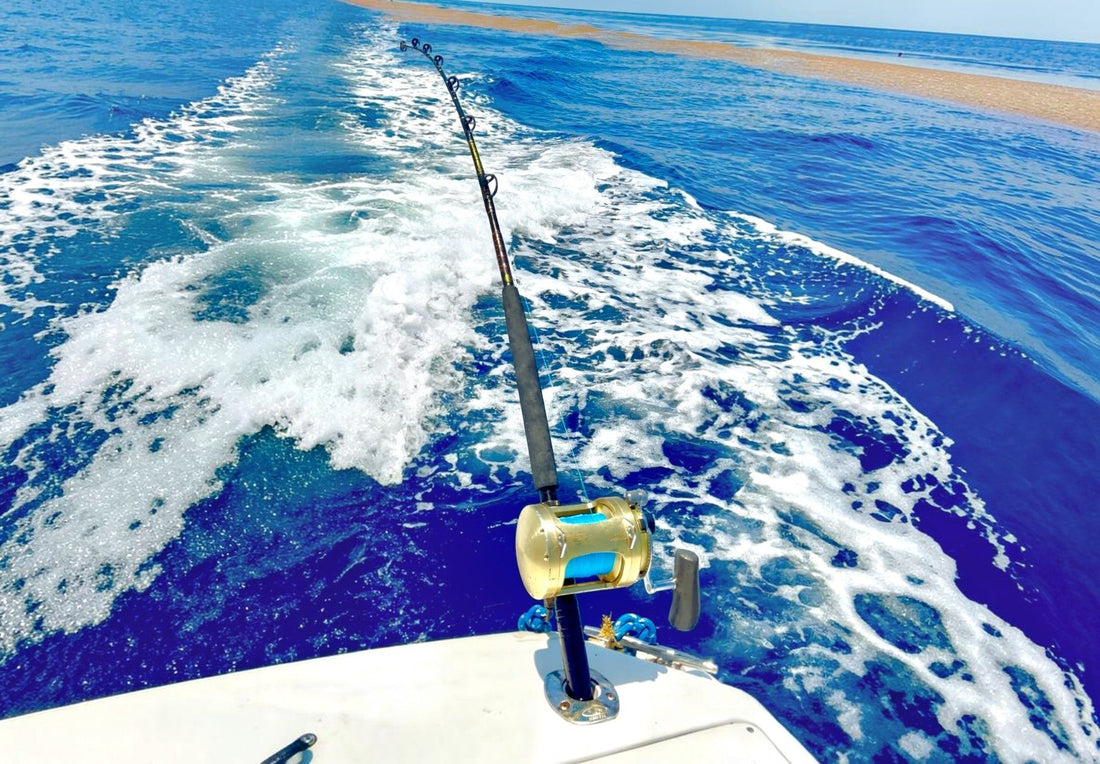 Offshore weed line, birds, and floating debris used to help locate fish