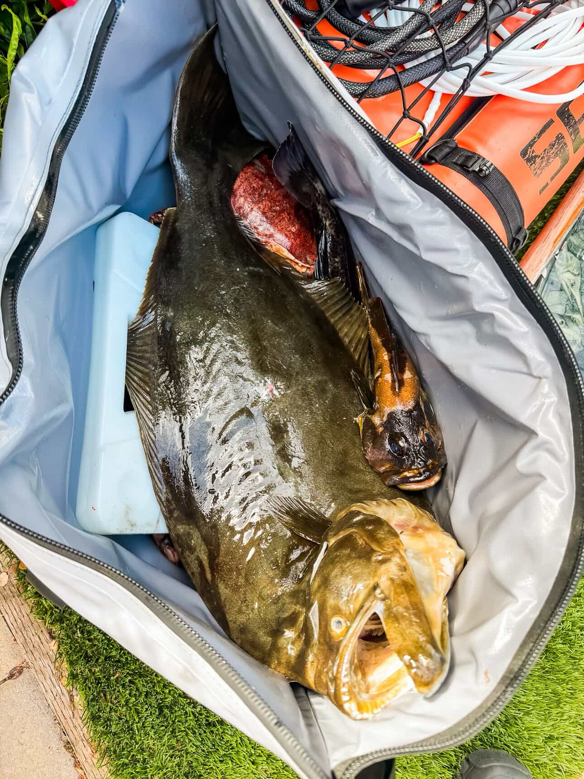Buffalo Gear 45QT Fish Cooler Bag With Flat Bottom - product detail 6